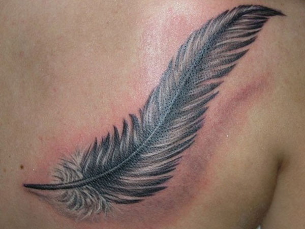 Black And White Feather