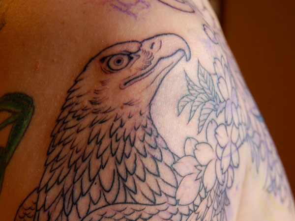 Intricate Inked Hawk