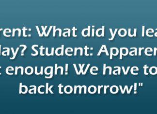 23 Hilariously Funny School Quotes