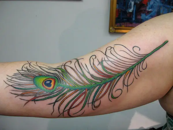 Peacock