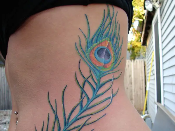 Details 63+ peacock stomach tattoo super hot - in.cdgdbentre