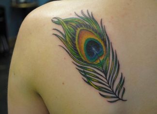 25 Extravagant Peacock Feather Tattoo For 2013