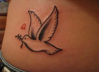 26 Polished Dove Tattoo Designs