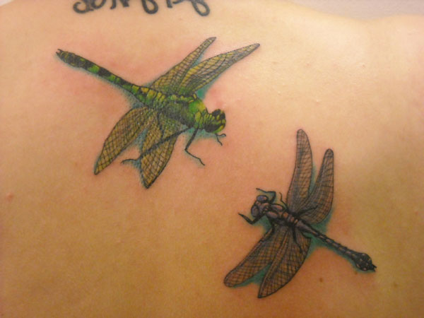 Dragonfly Bond Tattoo