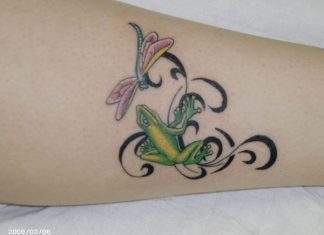 24 Ideal Dragonfly Tattoo For 2013