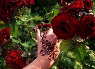 26 Voguish Henna Tattoo Designs For 2013