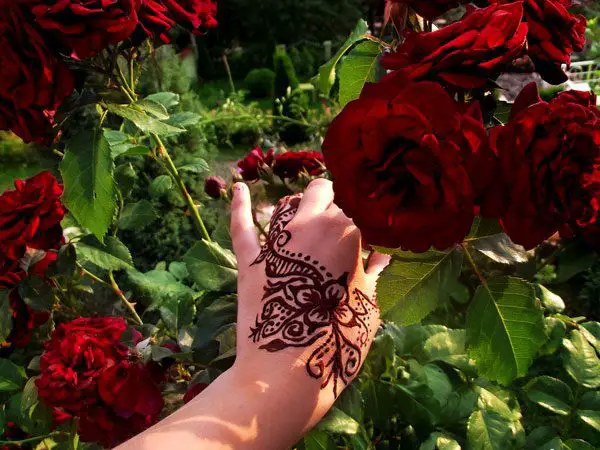 Top Rose Mehndi Designs To Be The Cynosure Of All Eyes