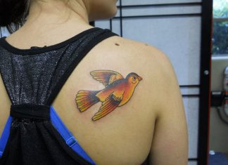 27 Ornate Bird Tattoo Designs