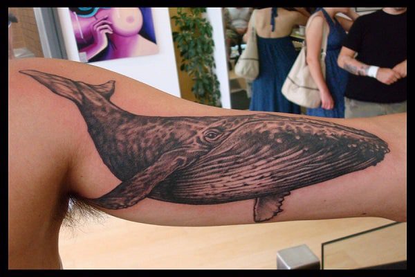 Blue Whale Bicep Tattoo
