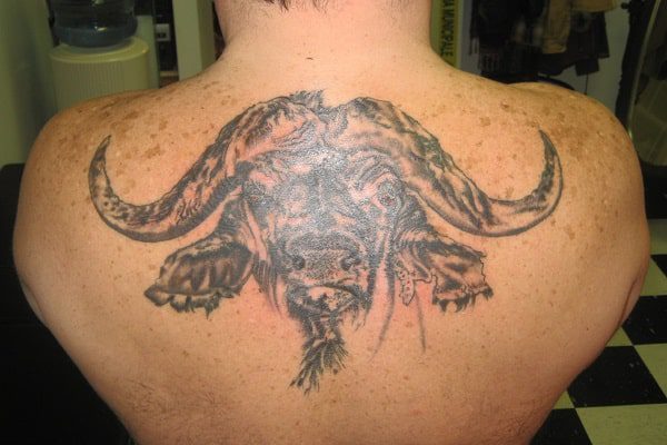 Cape Buffalo Back Tattoo