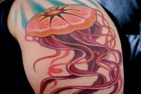 Detailed Jellyfish