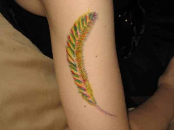 Turkey Feather Arm Tattoo