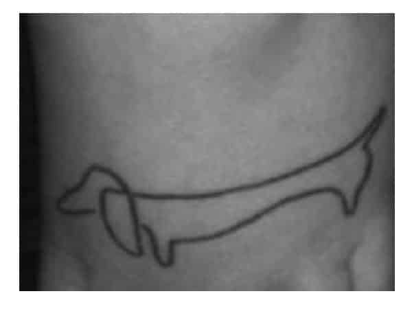 Simple Dachshund Tattoo On Ankle