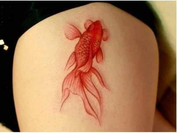 Swimming Orange Koi Fish Tattoo