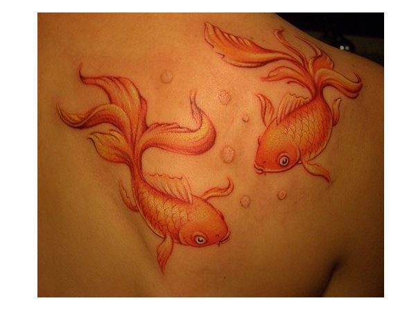 Orange Koi Fish Shoulder Tattoo