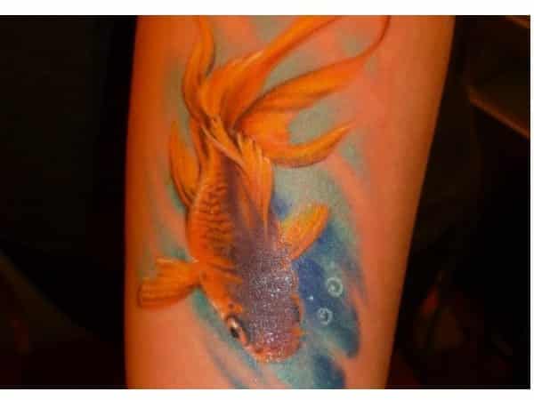 Orange Koi Fish with Water and Bubbles