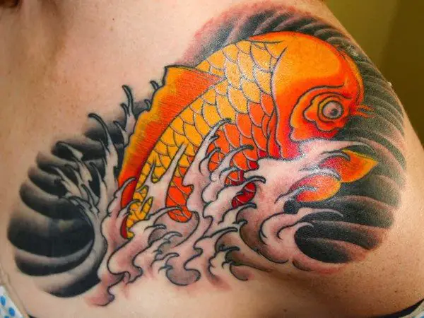Orange Fish with Black Water and Splash