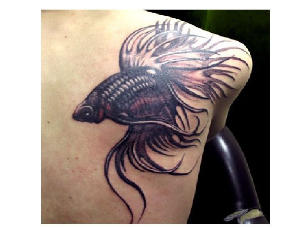 Black Beta Fish Tattoo