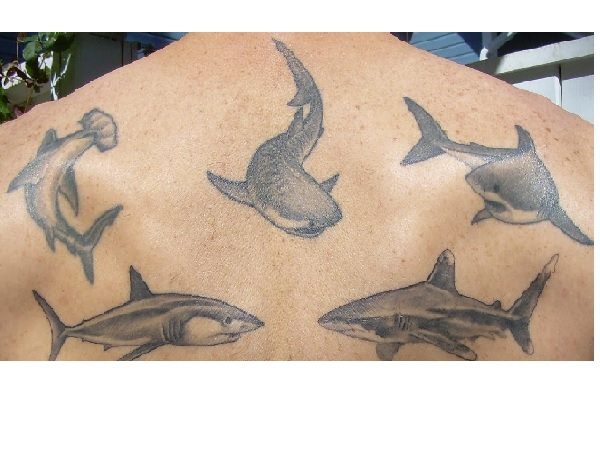 Many Sharks Swimming Back Tattoo