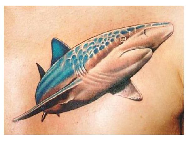 Blue Shark Tattoo