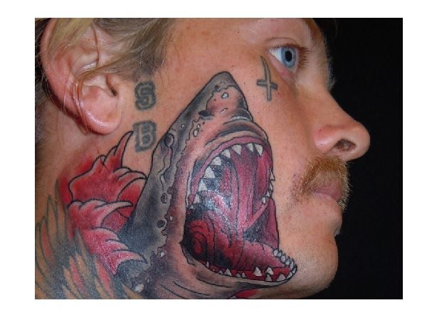 Great White Shark Face Tattoo