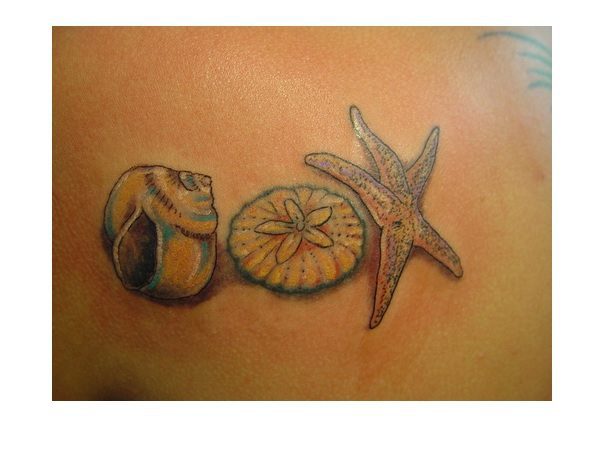 Starfish, Sea Shell, and Sand Dollar Tattoo