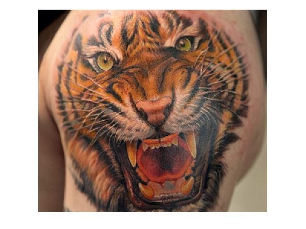 Growling Tiger Arm Tattoo