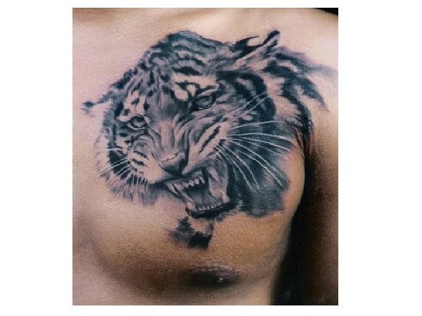 Grey Ink Young Tiger Tattoo