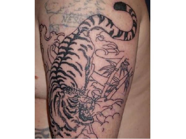 Tiger In the Woods Tattoo