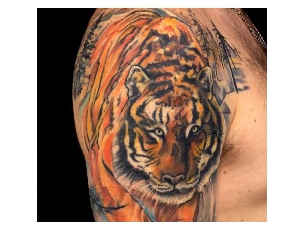 Orange Colored Tiger Arm Tattoo