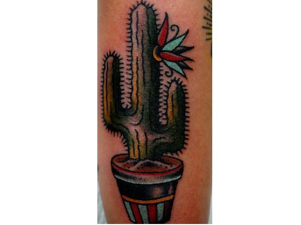 Saguaro Cactus with Red and Blue Flower Tattoo