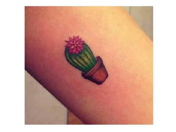 Tiny Round Cactus with Pink Flower In Clay Pot