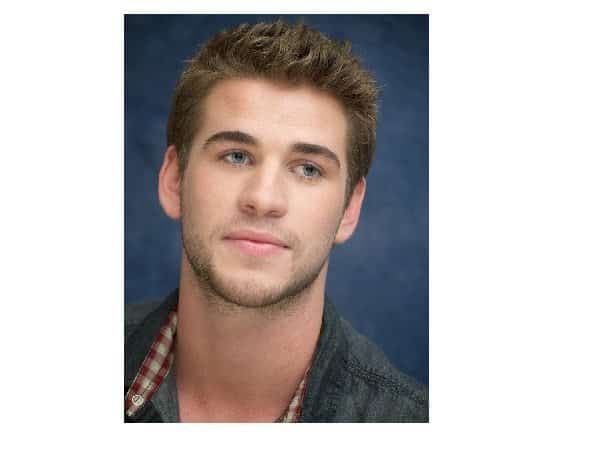 Liam Hemsworth Light Brown Hair with Spiky Front
