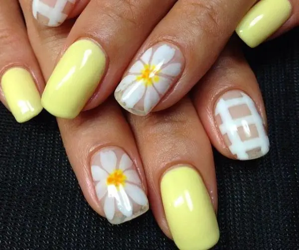 12++ Daisy nails price list inspirations