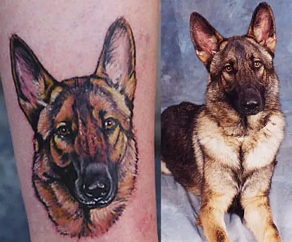30 Cool German Shepherd Tattoo Designs for Men 2023 Guide
