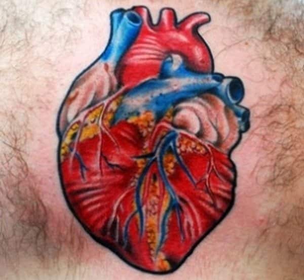 15 Awe-Inspiring Anatomical Heart Tattoo Designs