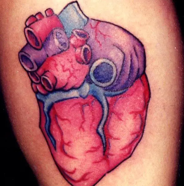 anatomical heart tattoo