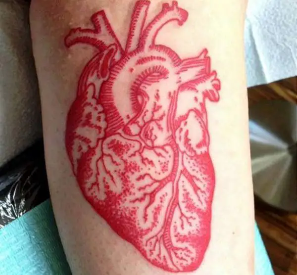anatomical heart tattoo