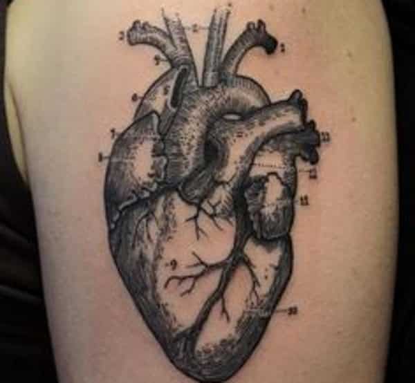 anatomical heart tattoo