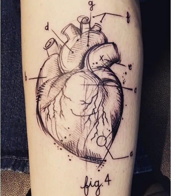 anatomical heart tattoo