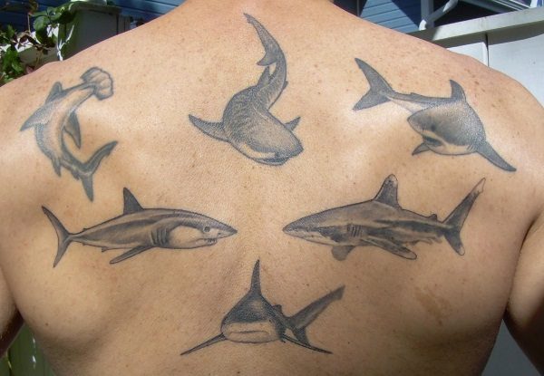 shark tattoo ideas