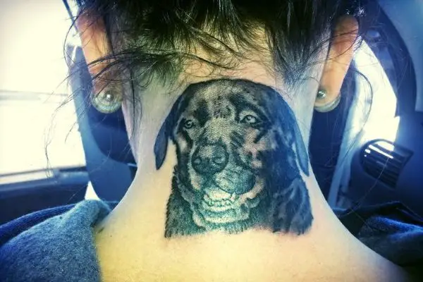 Rock Steady Tattoo UK  Traceys very loved furry friend Daisy