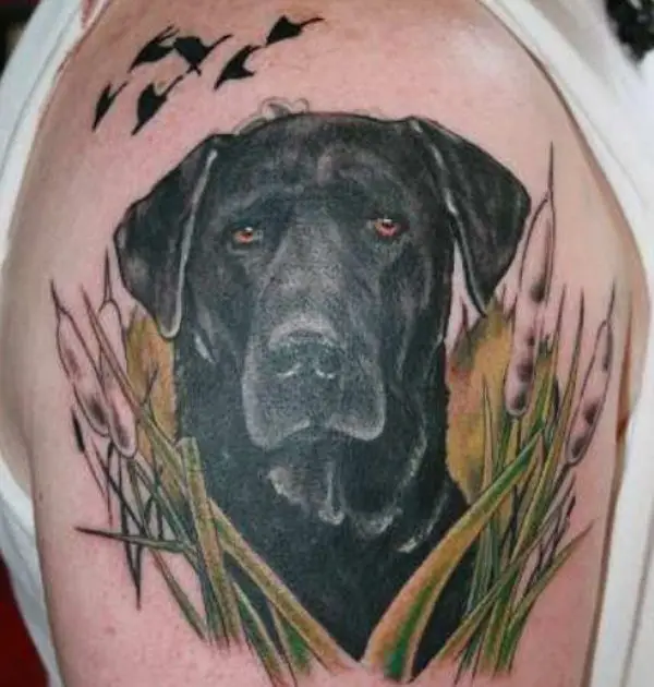 10 Best Labrador Tattoo IdeasCollected By Daily Hind News  Daily Hind News