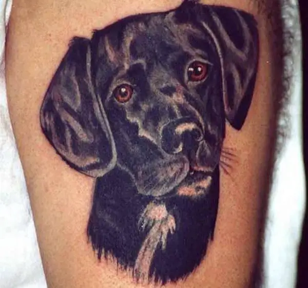 Dog Tattoo Designs APK for Android Download