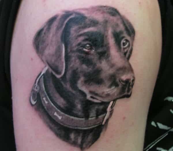 The 14 Most Realistic Labrador Retriever Tattoos Ever  PetPress