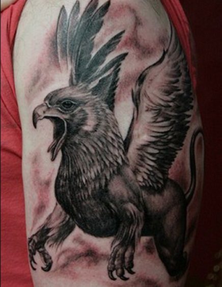 Owl Griffin Tattoo  Best Tattoo Ideas Gallery