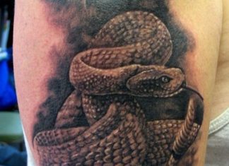 13 Chilling Rattlesnake Tattoo Design Ideas