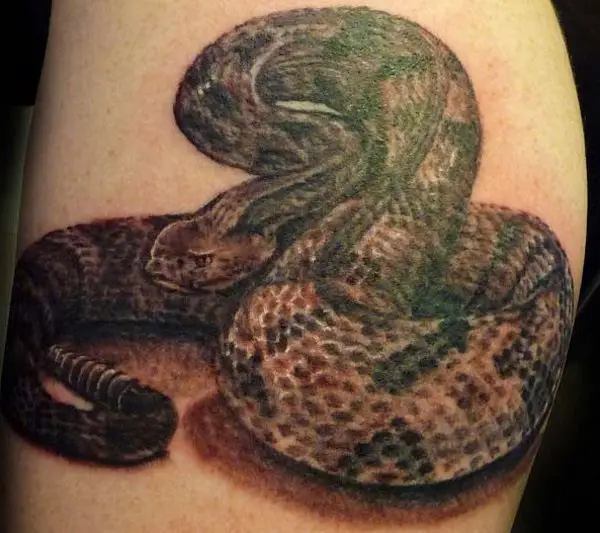 rattlesnake by dragonwolfmoon on deviantART  Rattlesnake tattoo Snake tattoo  design Snake art