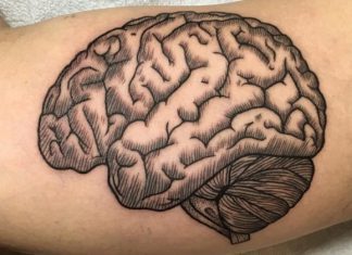 12 Cerebral Brain Tattoo Design Ideas