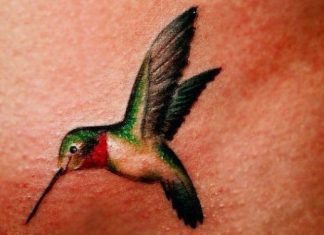 14 Happy Hummingbird Tattoo Design Ideas